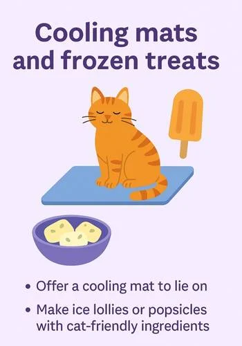 Illustration of an orange tabby cat sitting on a blue cooling mat, with a popsicle and a bowl of frozen cat treats nearby, alongside tips for keeping cats cool with cooling mats and frozen snacks.